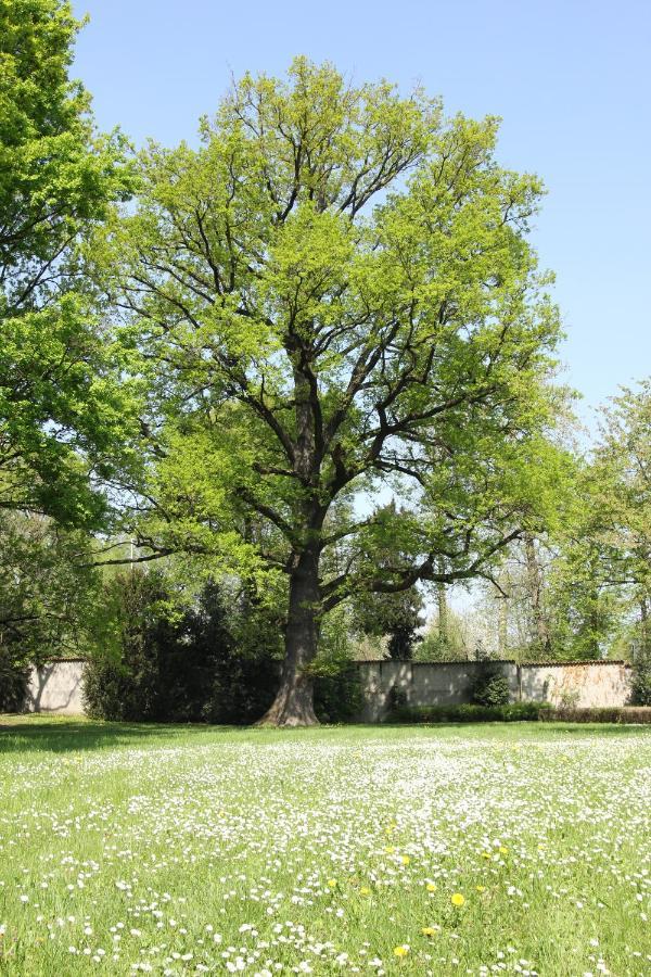 Storica Quercia B&B Nerviano Exterior foto